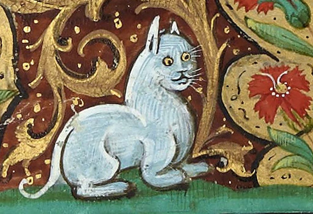 Autor "Mannuel de conversation" zaliczył koty do zakazanych potraw obok małp, lisów, osłów, psów, wilków i… słoni (domena publiczna).