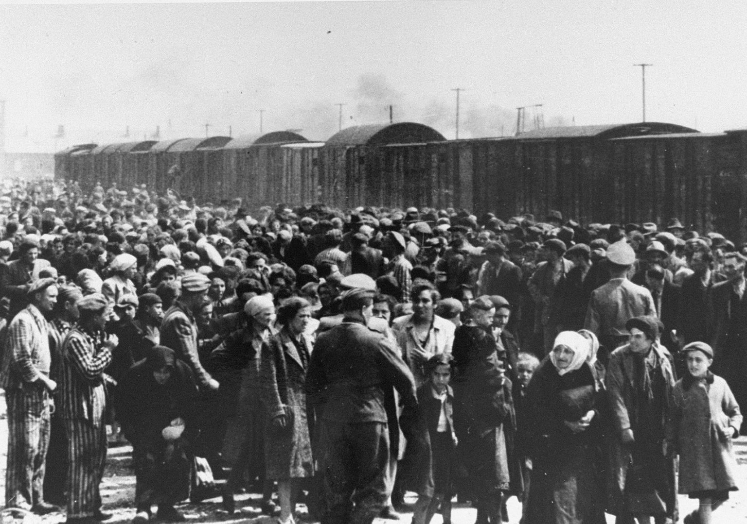 U Nas W Auschwitzu Problematyka Polka wspomina pierwsze chwile w Auschwitz-Birkenau. Co było dla niej