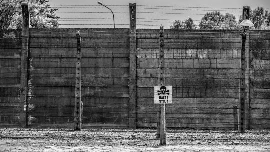 Betonowe ogrodzenie obozu Auschwitz-Birkenau.