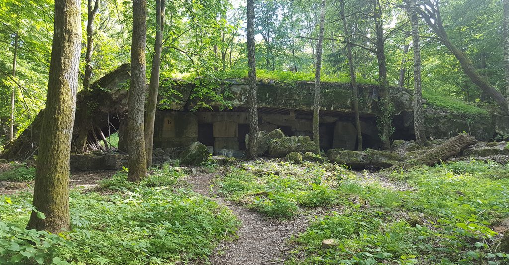 Pozostałości jednego z bunkrów wchodzących w skład Wilczego Szańca