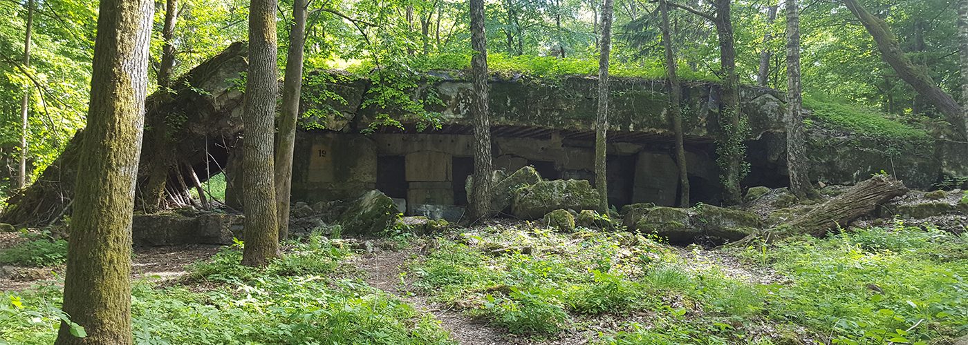 Pozostałości jednego z bunkrów wchodzących w skład Wilczego Szańca
