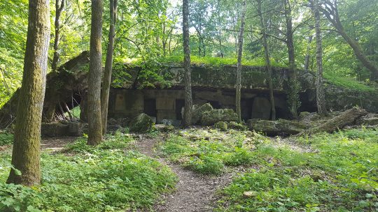 Pozostałości jednego z bunkrów wchodzących w skład Wilczego Szańca