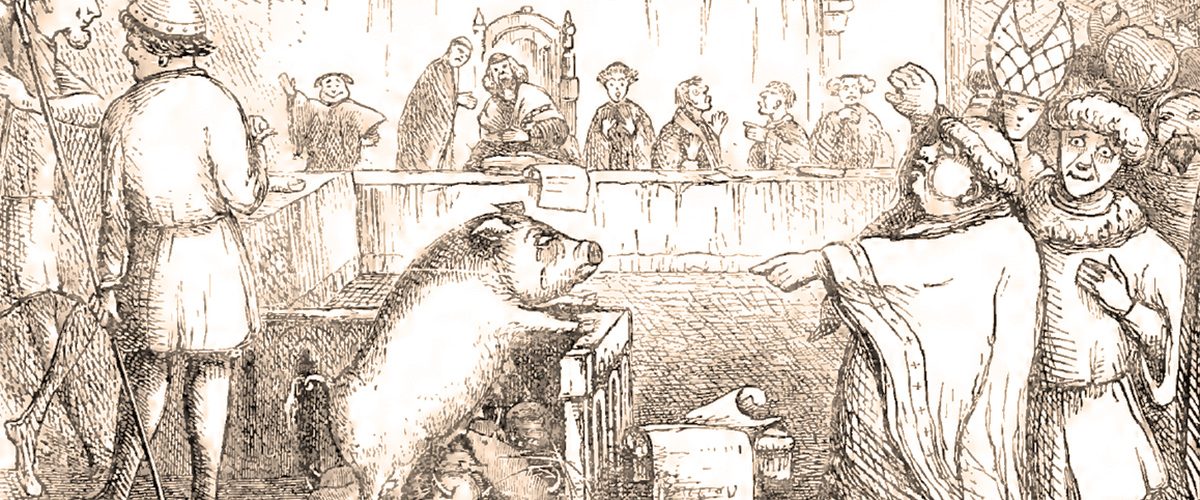Średniowieczny proces świni w wyobrażeniu rysownika z XIX stulecia.