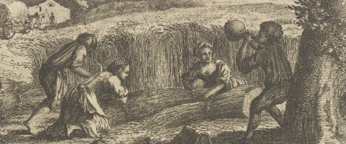 Kobiety podczas żniw. Rycina XVIII-wieczna.