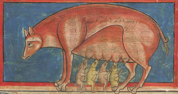 Wyobrażenie maciory w średniowiecznym bestiariuszu