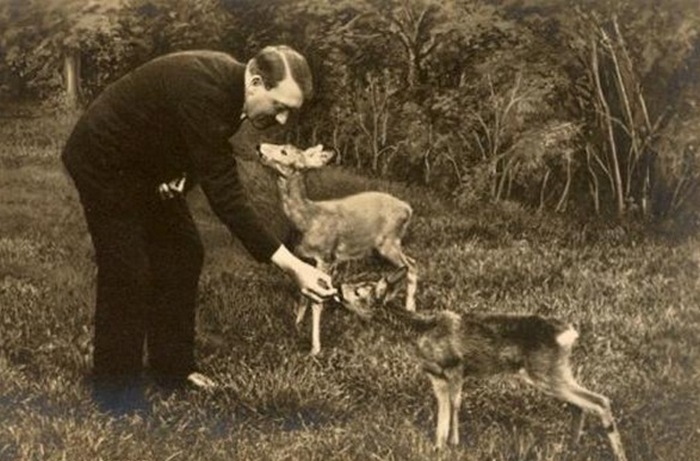 Hitler na każdym kroku pokreślał swoje przywiązanie do zwierząt (domena publiczna).