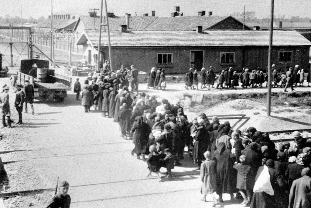Nowoprzybyły transport Żydów prowadzony w kierunku komór gazowych. Zdjęcie z 27 maja 1944 roku (domena publiczna).