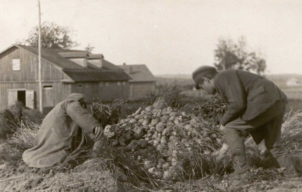 Łotewscy rolnicy. Zdjęcie z początku lat 20. XX wieku (domena publiczna).