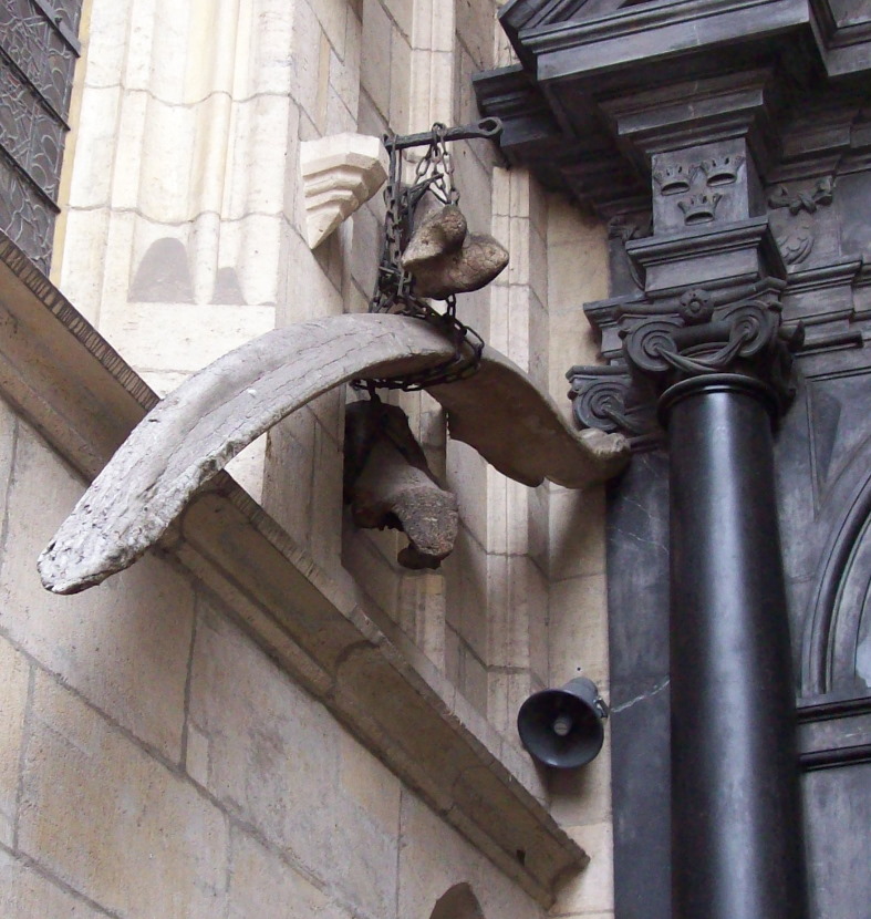 Smocze kości przed wejście do katedry na Wawelu