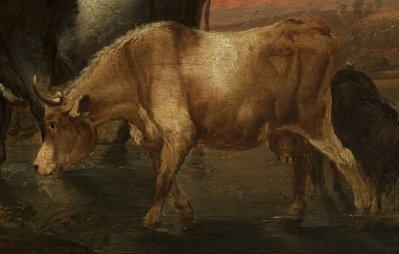 Krowy u wodopoju. Obraz nowożytny.