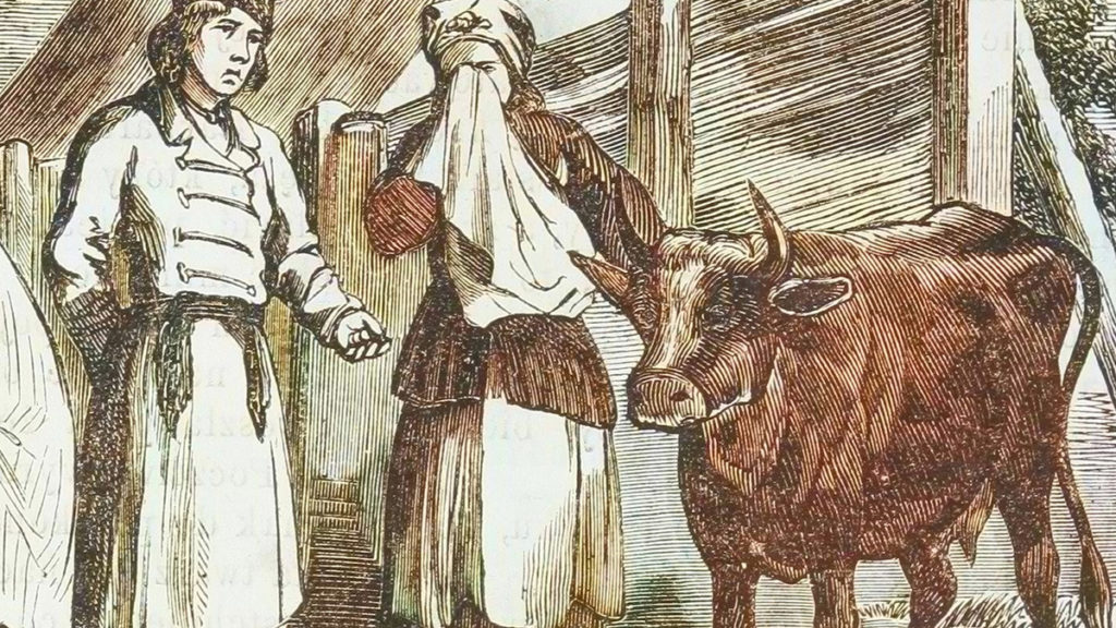 Staruszka zmuszona sprzedać ostatnią krowę. Rysunek XIX-wieczny.