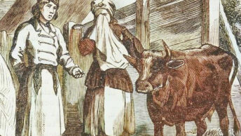 Staruszka zmuszona sprzedać ostatnią krowę. Rysunek XIX-wieczny.