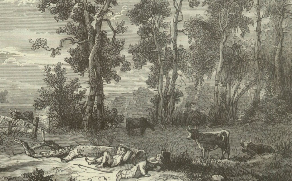 Rysunek Francuszka Kostrzewskiego przedstawiający wypas krów (domena publiczna).
