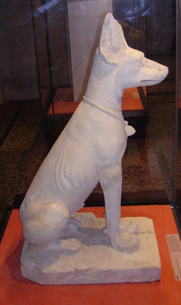 Starożytna egipska rzeźba psa (Yair Haklai/CC BY-SA 4.0).
