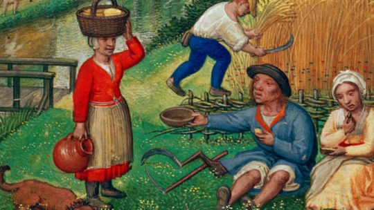 Chłopi podczas przerwy w pracy na polu. Manuskrypt z początku XVI wieku