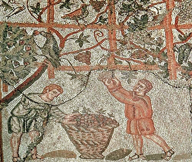 Starożytna rzymska mozaika przedstawiająca zbiór winogron (JPS68/domena publiczna).