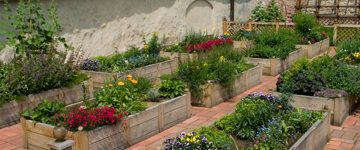 Zrekonstruowany górny taras ogrodów na Wawelu. Układ grządek odpowiada temu oryginalnemu