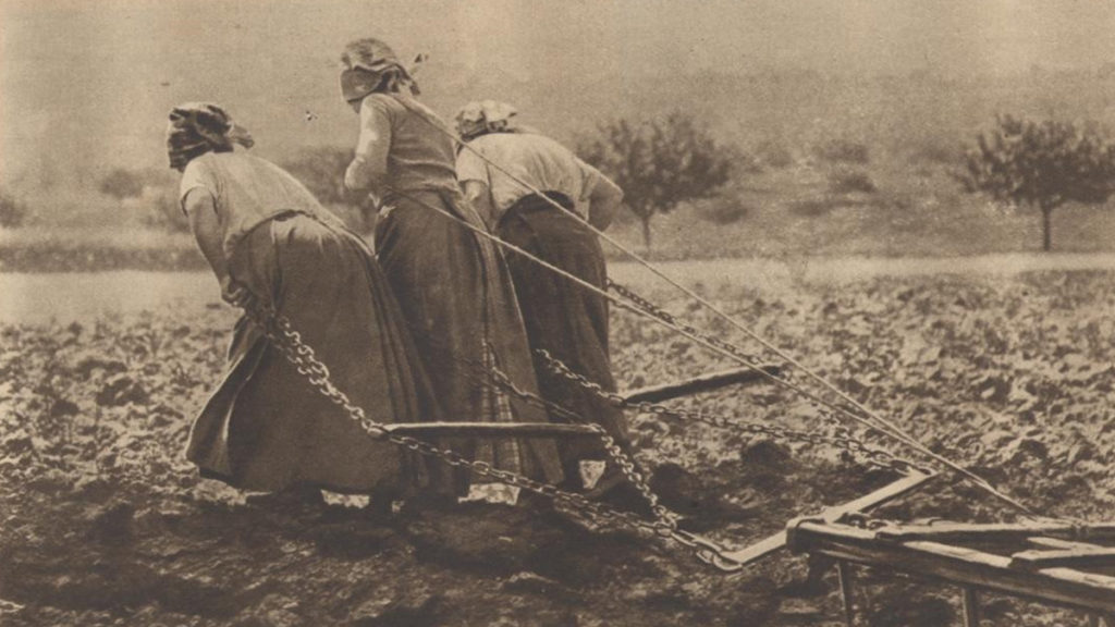 Wiejskie kobiety ciągnące bronę. Fotografia z początku XX wieku.