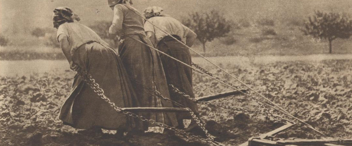 Wiejskie kobiety ciągnące bronę. Fotografia z początku XX wieku.
