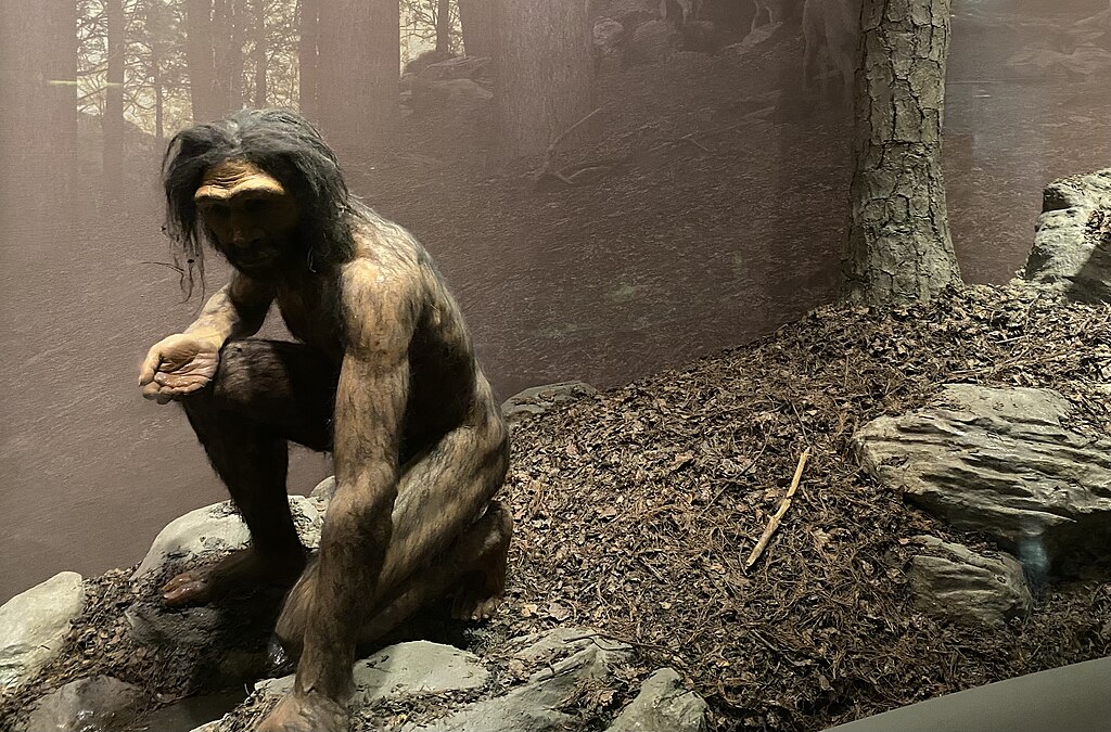 Diorama przedstawiająca homo erectus w Amerykańskim Muzeum Historii Naturalnej (Ryan Schwark/domena publiczna).