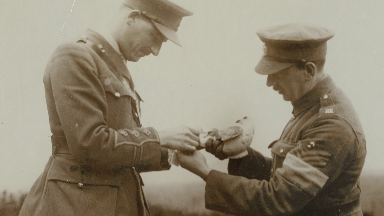 Nexus Kr tka Historia Informacji WielkaHistoria nexus-kr-tka-historia-informacji-wielkahistoria