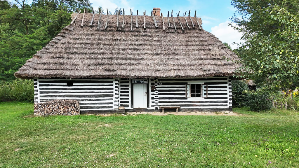 Wiejska chałupa z bielonymi szparami konstrukcji zrębowej. Skansen w Sanoku