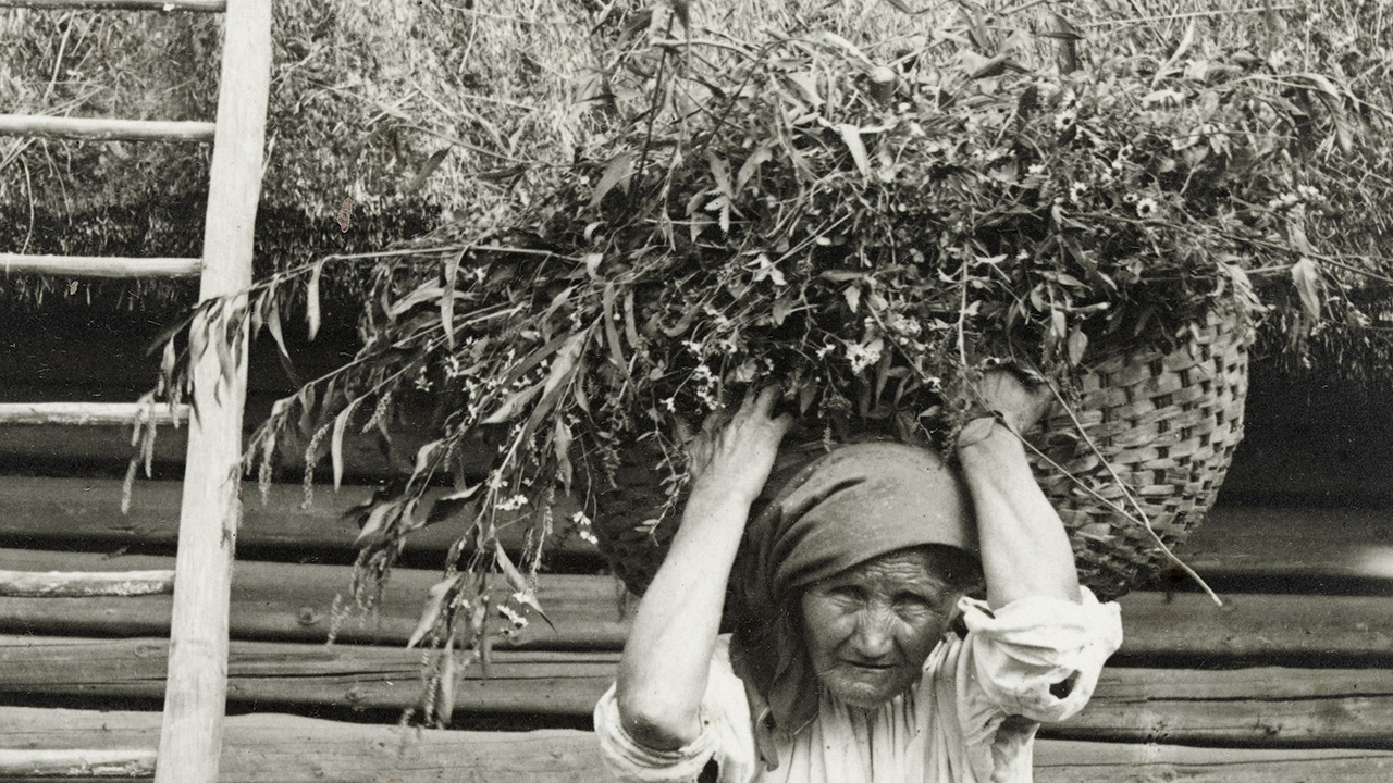 Galicyjska wieś na zdjęciach z przełomu XIX i XX wieku. Tak wyglądało życie chłopów nieco ponad 100 lat temu