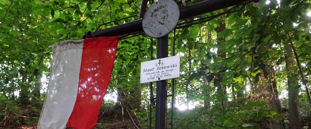 Grób jednego z partyzantów poległych w bitwie w Lesie Stockim.