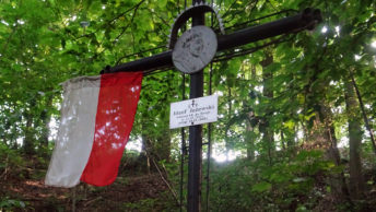 Grób jednego z partyzantów poległych w bitwie w Lesie Stockim.