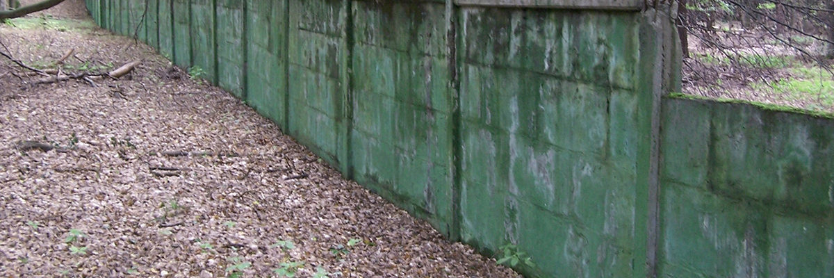 Mur otaczający osiedle Waldsiedlung
