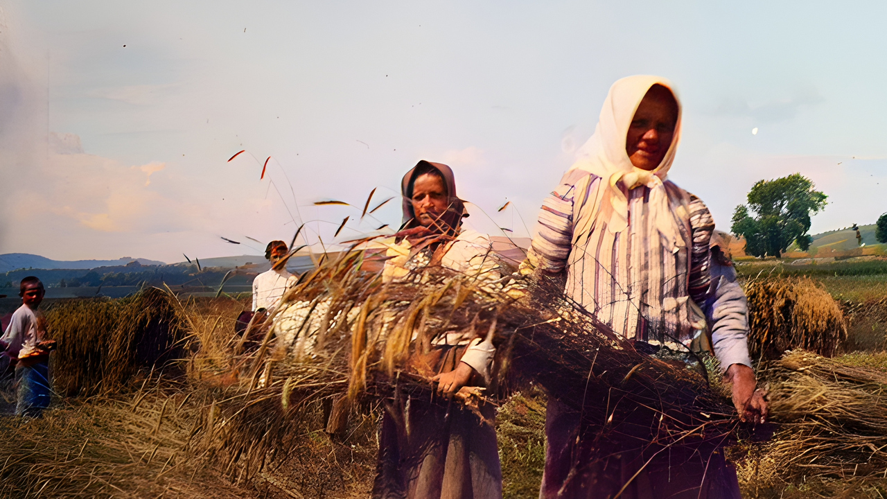 Dla biednych chłopów z Galicji była to okazja, aby wreszcie się najeść. Taka strawa miała zachęcić ich do pracy