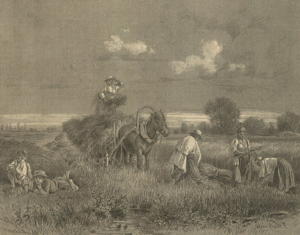 "Żniwo" (Franciszek Wastkowski/domena publiczna).