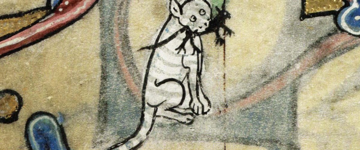 Średniowieczny kot. Miniatura z epoki