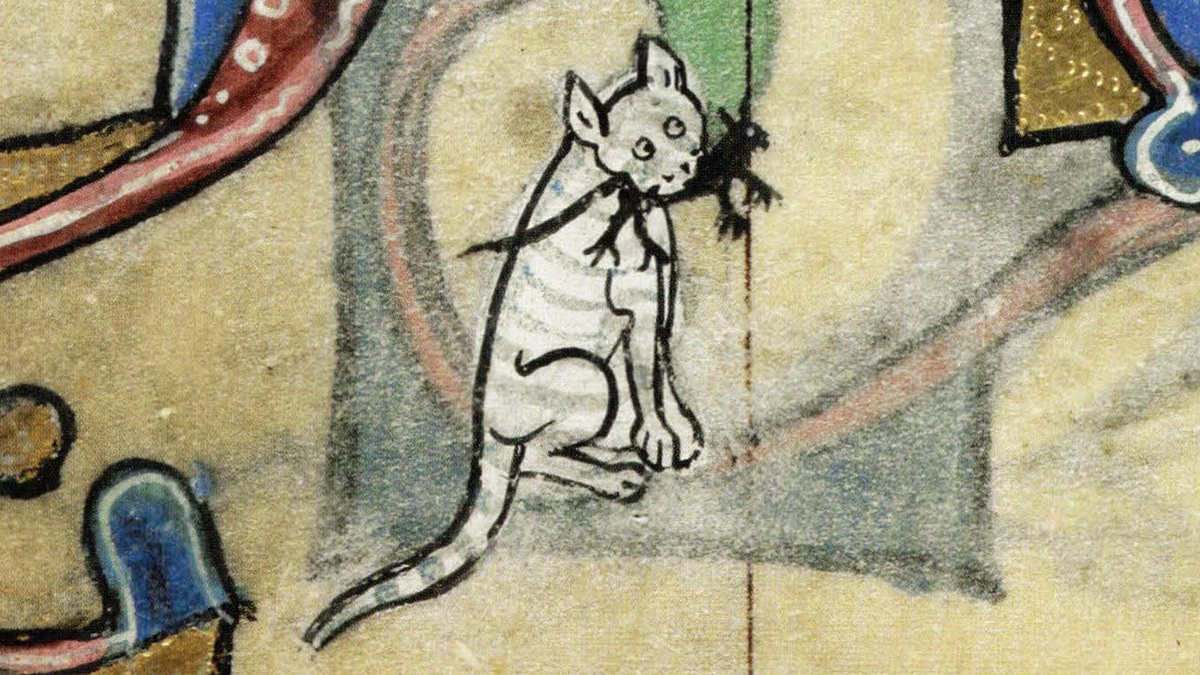 Koszmar średniowiecznych kotów. To przez ten proceder wciąż mówi się o „kupowaniu kota w worku”