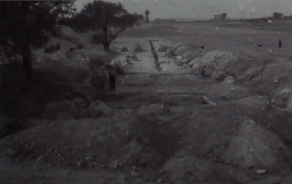 Zdjęcie wykonane podczas prac archeologicznych w Gaju. 1950 rok (MOs810/CC BY-SA 4.0).