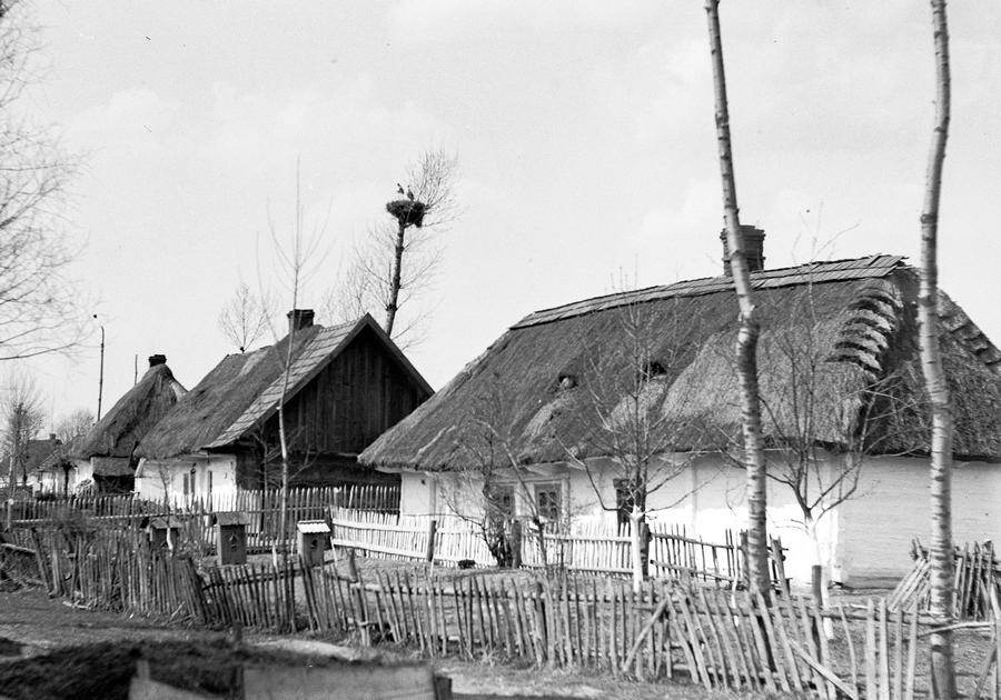 Fragment wsi Ostrów Szlachecki (domena publiczna).